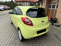 Ford KA 1,2 69KM  Klimatronik  Panorama Orzech - zdjęcie 9