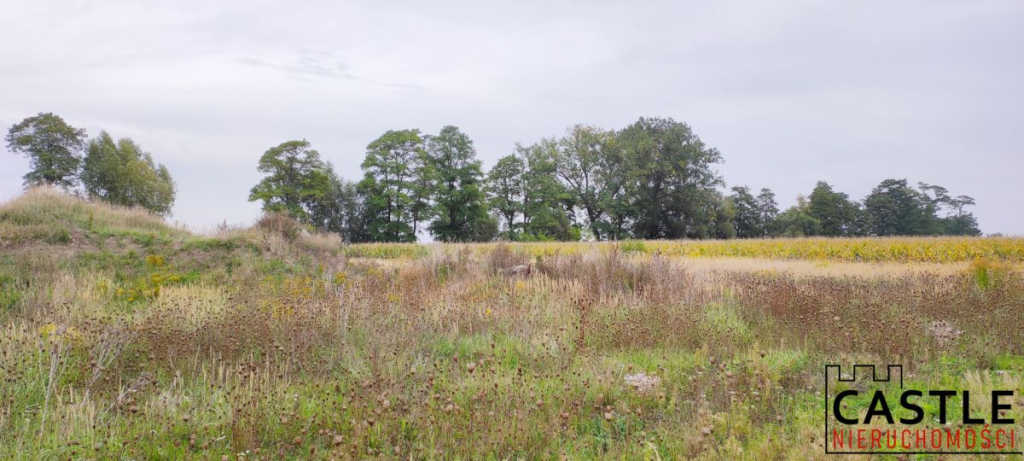 Działki pod budowę hali z biurem - inwestycja! Chomęcice - zdjęcie 8