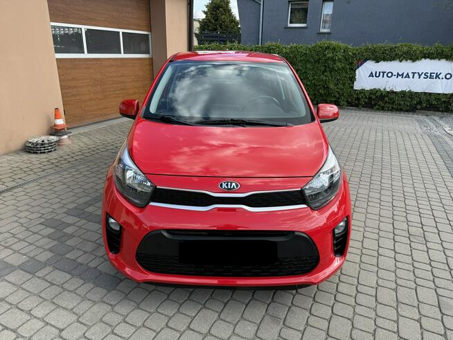 Kia Picanto 1,0 67KM  Klimatyzacja  Kamera  CarPlay Orzech - zdjęcie 2