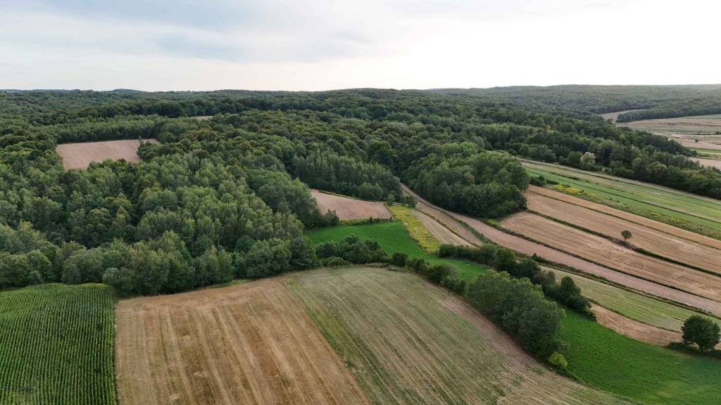 Tarnawa Duża – ponad 60 arów przy asfalcie, z warunkami na prąd i wodę Turobin - zdjęcie 3