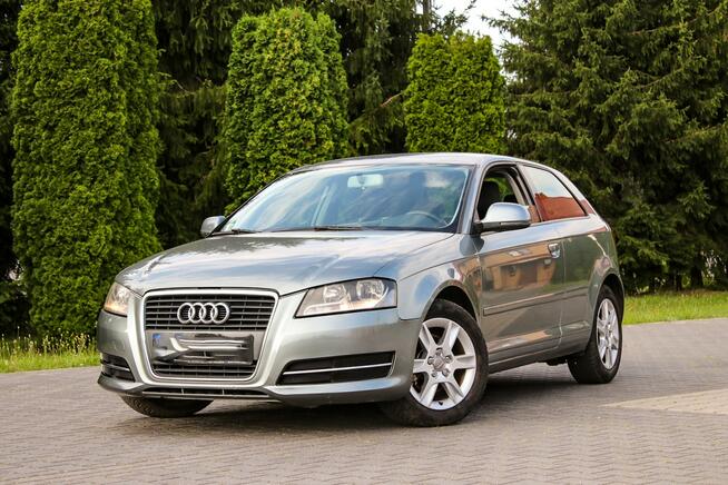 Audi A3 105KM Klimatronik Parktronik Lift Ostrów Mazowiecka - zdjęcie 2
