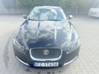 Jaguar XF Zielona Łąka - zdjęcie 6