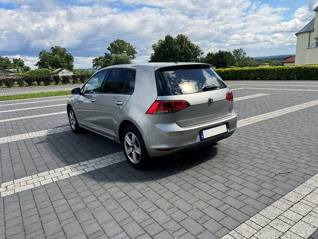 Volkswagen Golf VII 1,6 TDI 105KM Led Navi Klimatronik Bliżyn - zdjęcie 4
