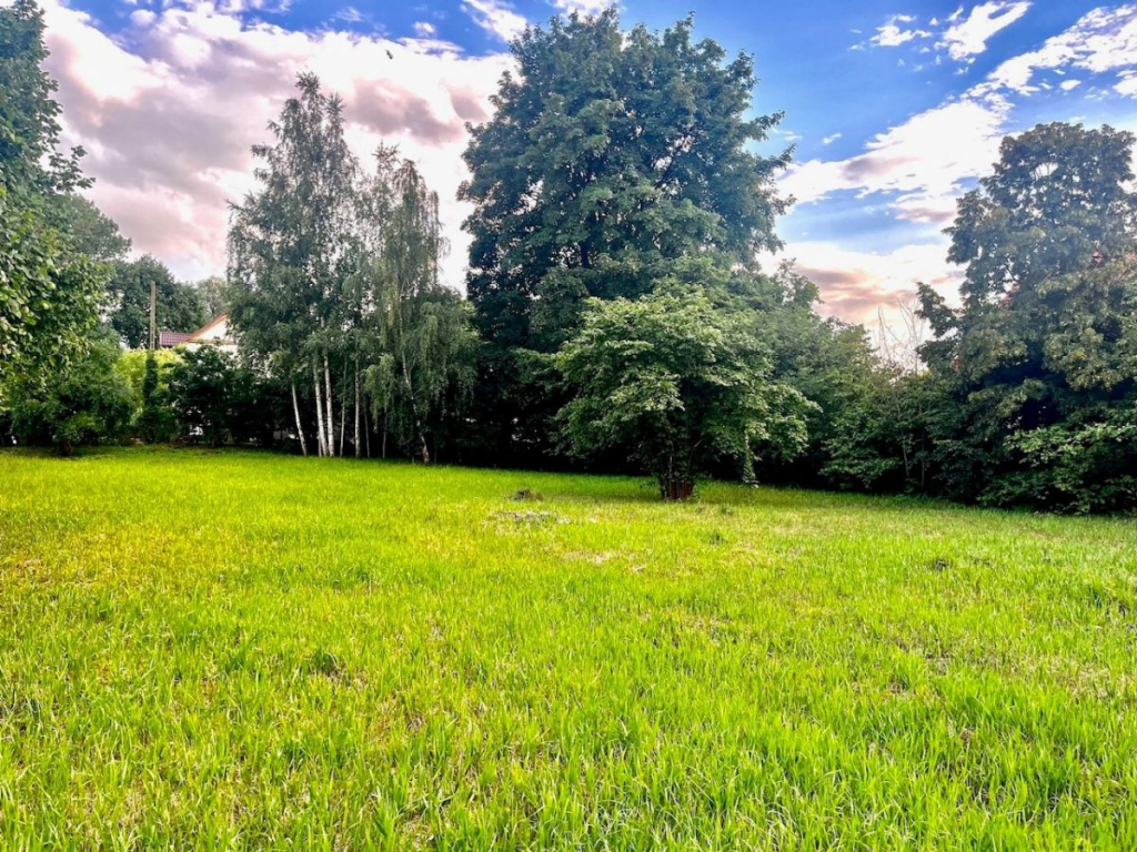 działka z domem do remontu I blisko plaża I Stegna Stegna - zdjęcie 12