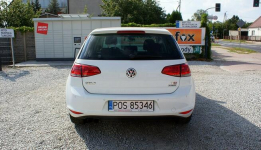 Volkswagen Golf Ostrów Wielkopolski - zdjęcie 6