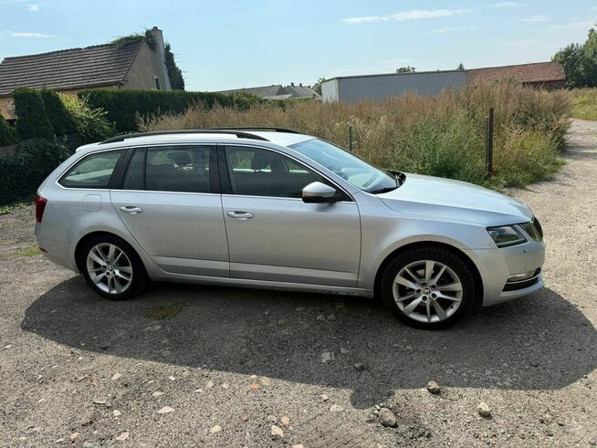Škoda Octavia Kombi 2.0 TDI 150 KM DSG, 2019 Ostrów Wielkopolski - zdjęcie 12