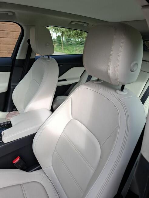 Sprzedam Wołowice - zdjęcie 5