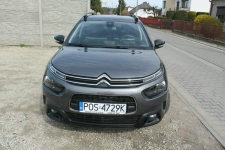 Citroen C4 Cactus Ostrów Wielkopolski - zdjęcie 2