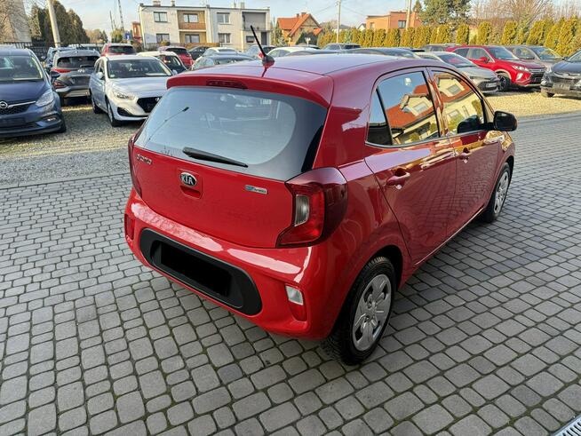 Kia Picanto 1,0 67KM  klimatyzacja  1Właściciel  Koła lato + zima Orzech - zdjęcie 7