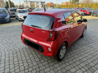Kia Picanto 1,0 67KM  klimatyzacja  1Właściciel  Koła lato + zima Orzech - zdjęcie 7