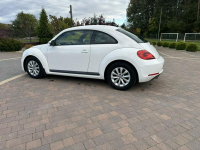 Volkswagen Beetle Lipówki - zdjęcie 7