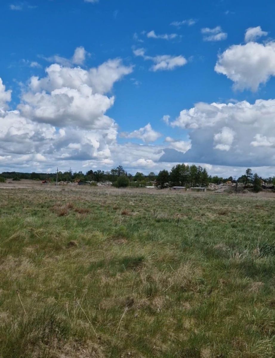 Działka rolno-budowlana 5226m2 Bielsk Podlaski Bielsk Podlaski - zdjęcie 3