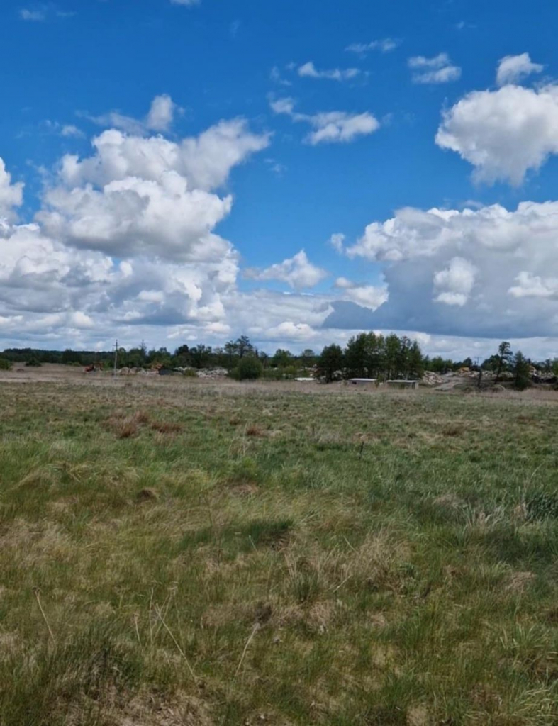 Działka rolno-budowlana 5226m2 Bielsk Podlaski Bielsk Podlaski - zdjęcie 3