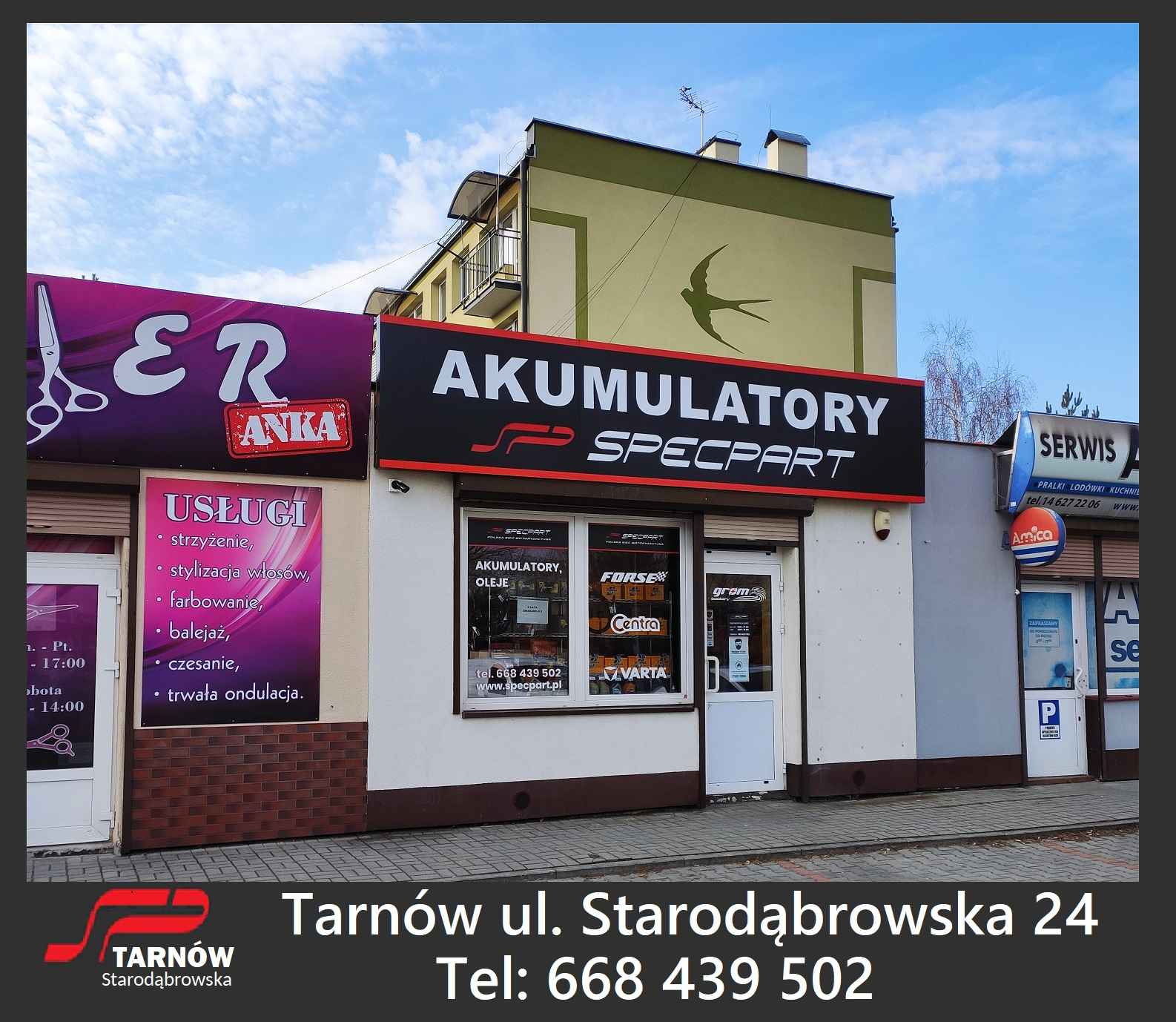 Akumulator 120Ah 850A 12vAgro Specbat Tarnów - zdjęcie 2