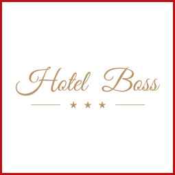 Hotel Boss Wawer - zdjęcie 1