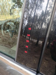 Ford Escape Titanium benzyna gaz Wola Smolana - zdjęcie 12