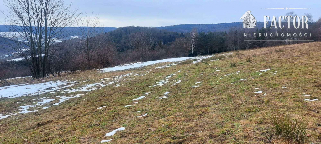 Działka budowlana 1,07 ha – Siary, gm. Sękowa 1170S/2026 Siary - zdjęcie 8