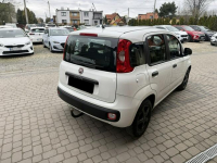 Fiat Panda !! Rezerwacja !! Orzech - zdjęcie 7