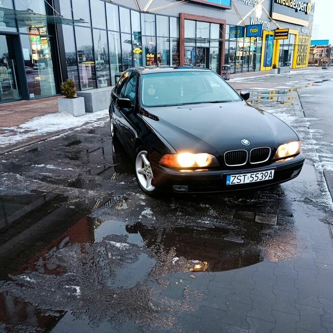 BMW 520i E39 1998 Stargard - zdjęcie 3