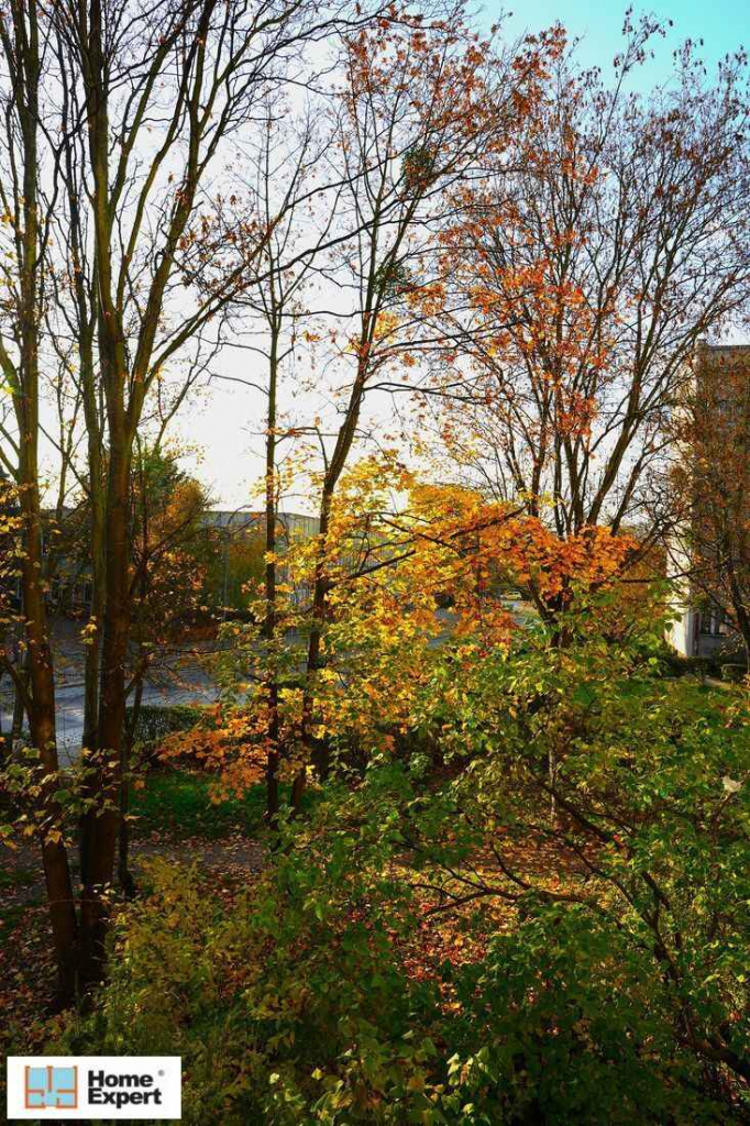 3pok, 45met, Okolice Oławianej PO REMONCIE/BALKON (Wrocław) Fabryczna - zdjęcie 12