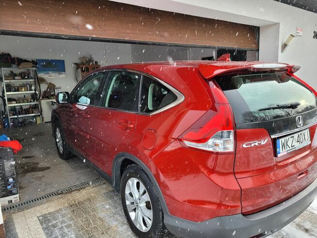 SPRZEDAM Pionki - zdjęcie 4