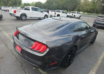 Ford Mustang GT Premium / 5.0 V8 / niski przebieg Cieszyn - zdjęcie 4