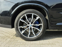 BMW X4 Salon Polska, Serwisowany, Stan idealny Łódź - zdjęcie 12