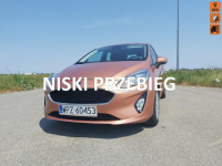 Ford Fiesta Pierwszy właściciel w Polsce 100% oryginał lakier
