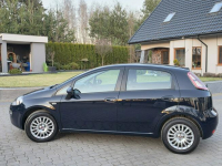 Fiat Punto Evo 1.4 8V Benzyna / Salon PL I-właściciel / 5 drzwiowy Skępe - zdjęcie 4