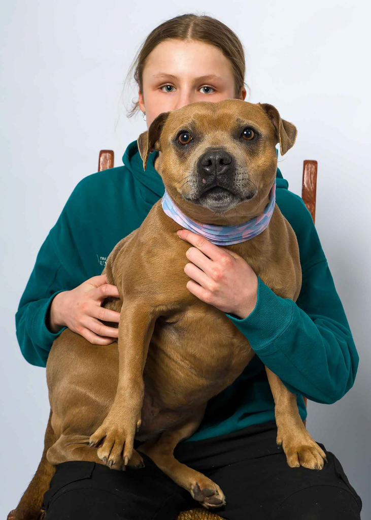 Fotografia studyjna z ulubionym zwierzakiem Wieliczka - zdjęcie 6