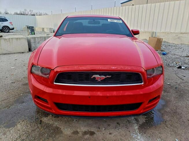 Ford Mustang / 3.7 305KM / Bogate wyposażenie / Niski przebieg / Tarnów - zdjęcie 3