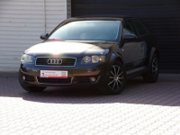 Audi A3 Klimatronic /BOSE /1,6 /mpi /102KM Mikołów - zdjęcie 8