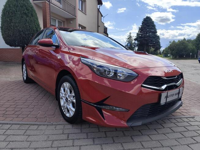 Kia Cee'd 2024/SALON POLSKA/FV23%/stan bdb/gwarancja Ełk - zdjęcie 11