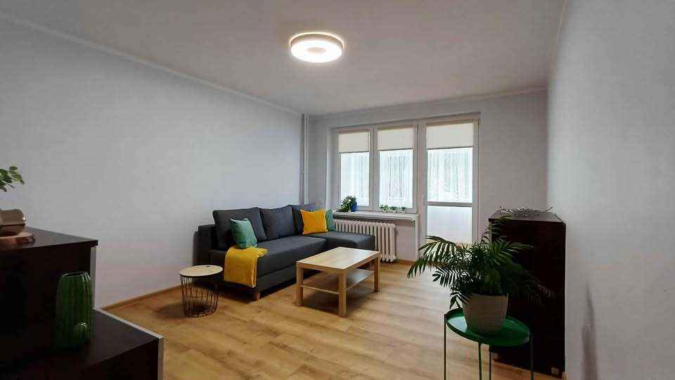 1pok, 30met, okolice Sienkiewicza PO REMONCIE (Wrocław) Śródmieście - zdjęcie 3