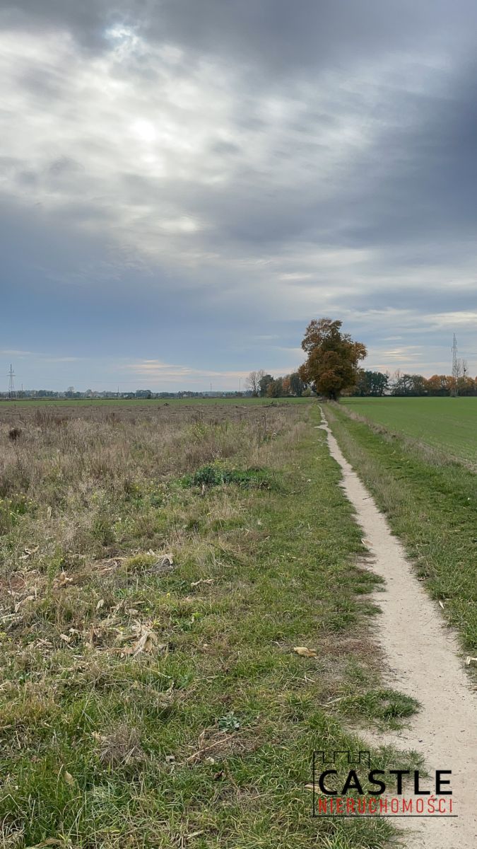 Inwestycja w sąsiedztwie firmy Raben Poznań - zdjęcie 10