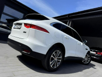 Biały Jaguar Salon Polska Końskie - zdjęcie 4