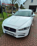 Jaguar XE 2.0 D AWD Prestige Wilcza - zdjęcie 2