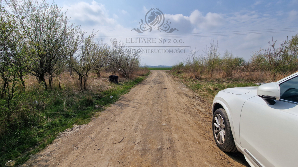 Piekna działka budowlana, połozona w cichej i zielonej okloicy. Lutynia - zdjęcie 9