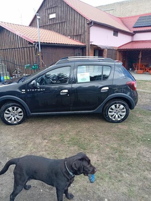 Sprzedam Dacia Sandero Stepway Koryta - zdjęcie 1