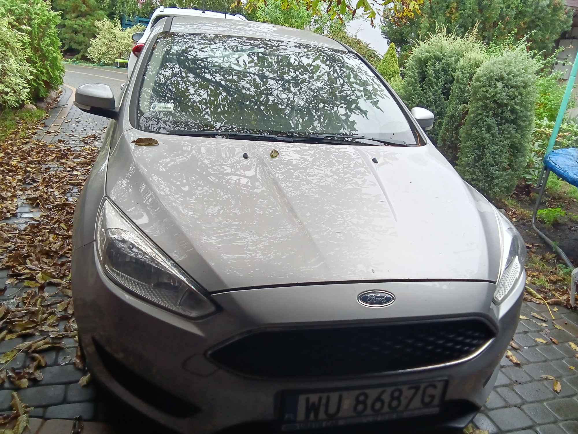 Sprzedam Żyrardów - zdjęcie 2