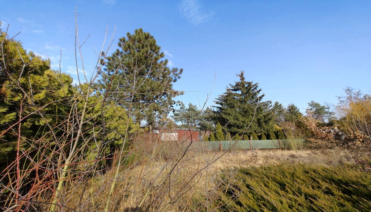 Działka nad jeziorem. Strykowo - zdjęcie 9