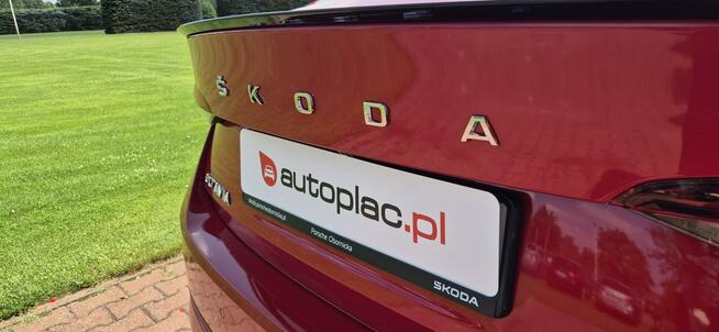 Škoda Octavia SALON PL-STYLE-VIRTUAL-SERWIS Paproć - zdjęcie 9