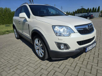 Opel Antara 2,4 Benz. 4x4(AWD) Serwis,Xenony.Navi.Skóry.Podg.Fotele Kutno - zdjęcie 2