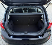 Ford Fiesta 1.0 EcoBoost Pyzdry - zdjęcie 12