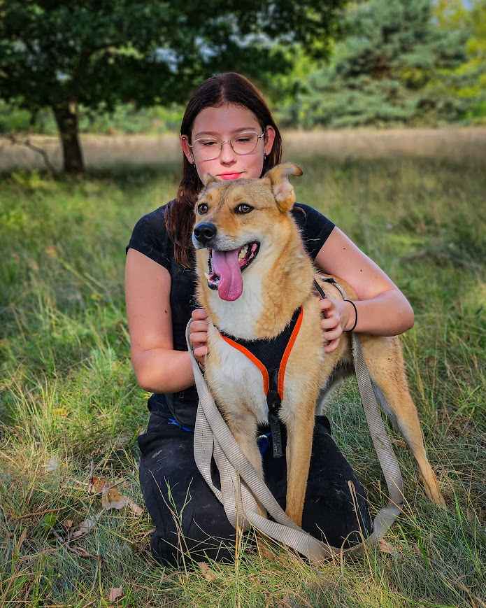 CYNAMON - oddany z adopcji jak niepotrzebna zabawka, POMOCY! Widzew - zdjęcie 2