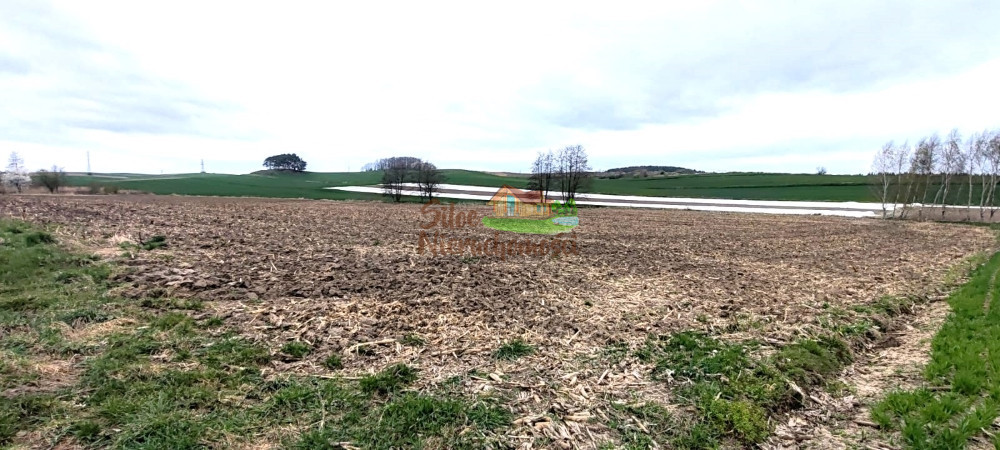 90ar działka przemysłowa Jaczów. Jaczów - zdjęcie 4