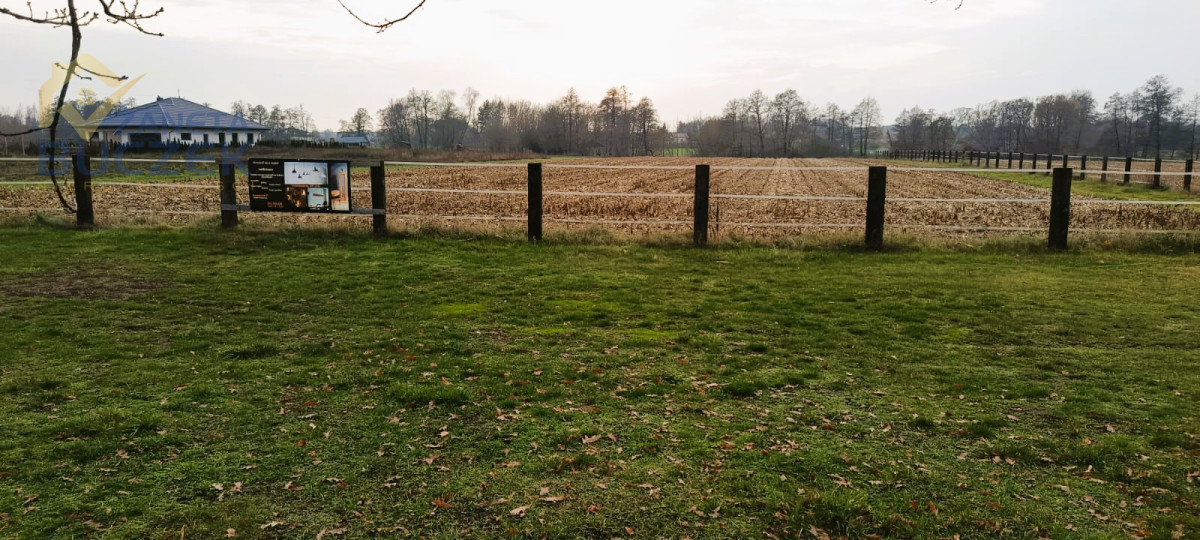 Sprzedam działki budowlane w Zakrzewie Zakrzew - zdjęcie 9