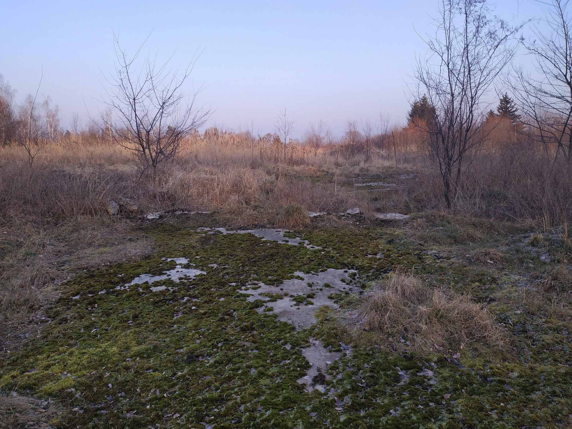Nieruchomość na sprzedaż Kamiennik - zdjęcie 10