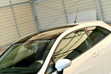 Seat Ibiza _1.6 105KM Panorama Xenon Climatronic Pdc_ Płock - zdjęcie 12