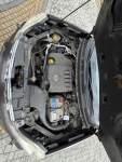 Nissan xtrail Trzetrzewina - zdjęcie 7